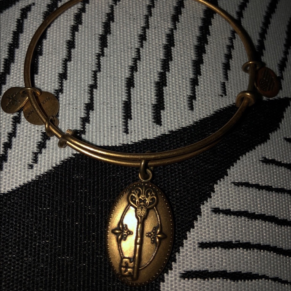 Alex and Ani Keyholder